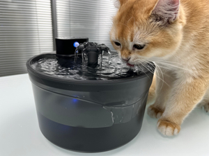 W02 Pet Water Fountain