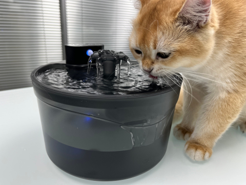 W02 Pet Water Fountain